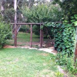 2011-02-09-1