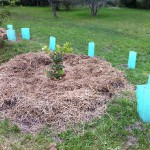2011-03-28-6