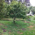 IMG_0115