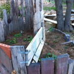 IMG_0381 IMG_0381