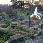 IMG_0383 IMG_0383