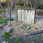 IMG_0384 IMG_0384