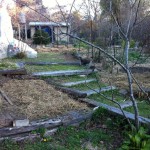 IMG_0386 IMG_0386