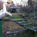 IMG_0387 IMG_0387