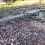 IMG_0393 IMG_0393