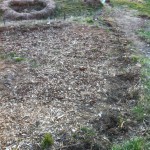 IMG_0394 IMG_0394