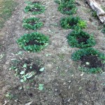 IMG_0395 IMG_0395