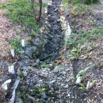 IMG_0398 IMG_0398