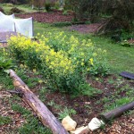 IMG_0469 IMG_0469