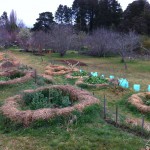 IMG_0472 IMG_0472