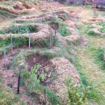 IMG_0473 IMG_0473