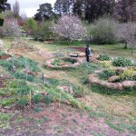 IMG_0476 IMG_0476