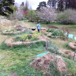 IMG_0478 IMG_0478