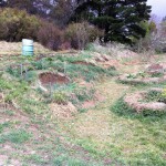 IMG_0479 IMG_0479