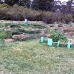 IMG_0480 IMG_0480