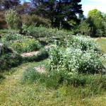 IMG_0498 IMG_0498