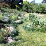 IMG_0499 IMG_0499