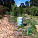 IMG_0503 IMG_0503