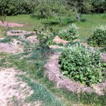 IMG_0504 IMG_0504