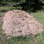 IMG_0506 IMG_0506