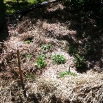 IMG_0507 IMG_0507