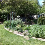 IMG_0509 IMG_0509