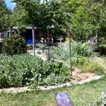 IMG_0510 IMG_0510