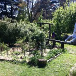 IMG_0511 IMG_0511