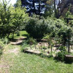 IMG_0512 IMG_0512