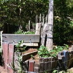 IMG_0517 IMG_0517