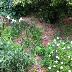 IMG_0573 IMG_0573