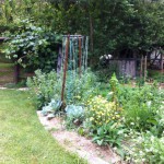 IMG_0576 IMG_0576