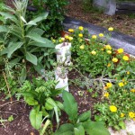 IMG_0583 IMG_0583