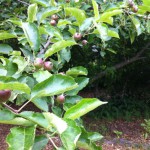 IMG_0593 IMG_0593