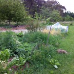 IMG_0599 IMG_0599