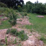 IMG_0606 IMG_0606