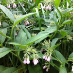 IMG_0612 IMG_0612