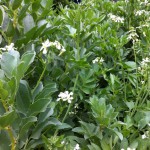 IMG_0618 IMG_0618