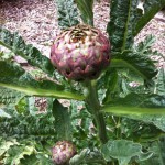 IMG_0624 IMG_0624
