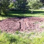 IMG_0634 IMG_0634