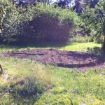 IMG_0635 IMG_0635