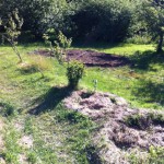 IMG_0636 IMG_0636
