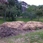 IMG_0686 IMG_0686