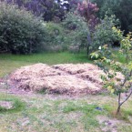IMG_0687 IMG_0687