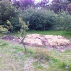IMG_0688 IMG_0688