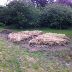 IMG_0689 IMG_0689