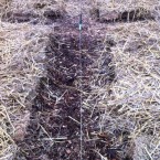 IMG_0690 IMG_0690