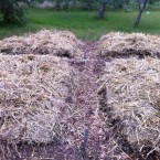 IMG_0692 IMG_0692