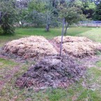 IMG_0693 IMG_0693
