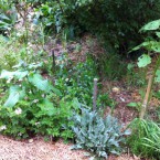 IMG_0700 IMG_0700